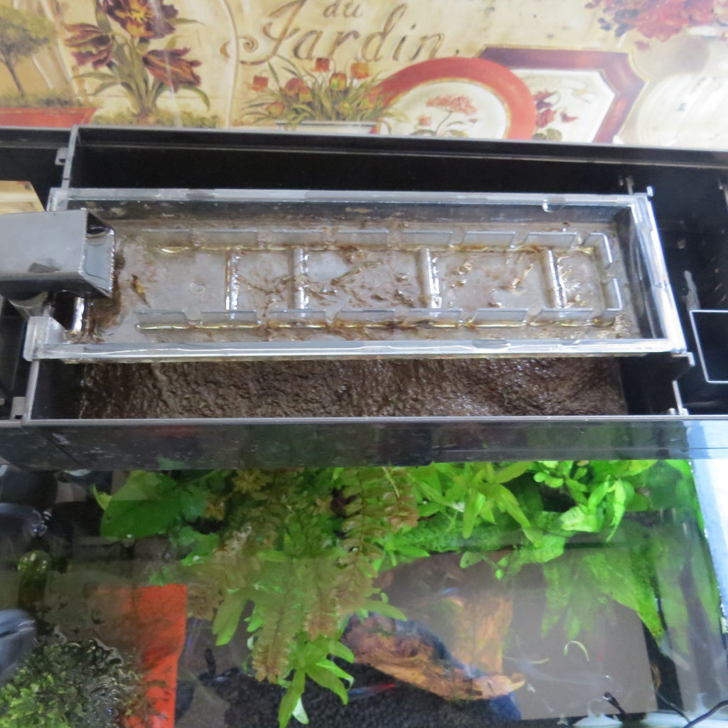 ろ過機のろ材がドロドロなので洗うの巻 虎ノ門虎之助のベランダ ラボラトリー Ft メダカ ろ過機のろ材がドロドロなので洗うの巻 虎ノ門虎之助のベランダ ラボラトリー Ft メダカ