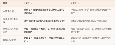 ヒメタニシテーブル