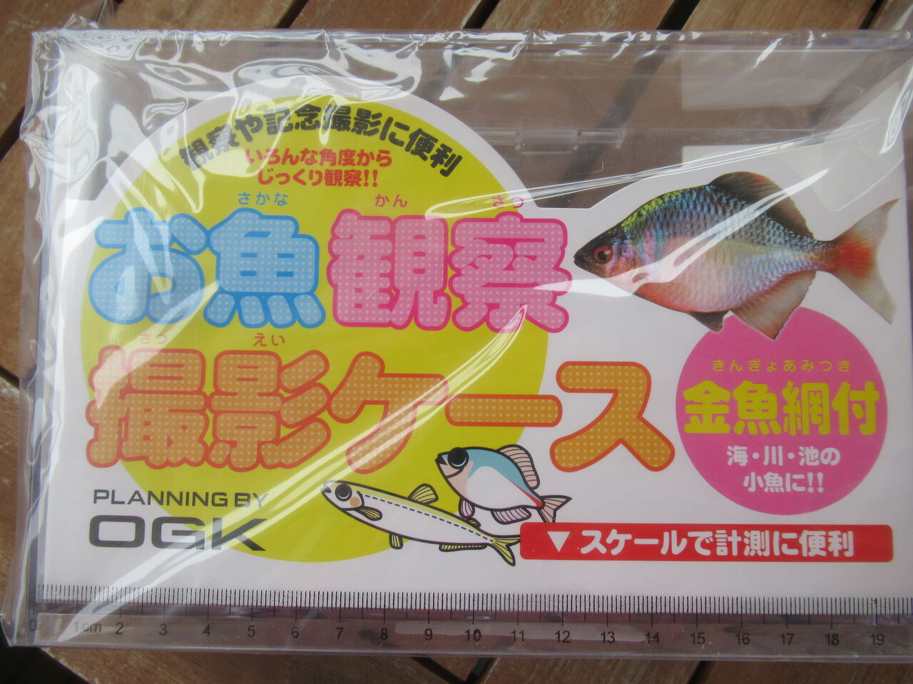 オンラインショップ Ogk お魚観察撮影ケース 金魚網付 Og649l Materialworldblog Com