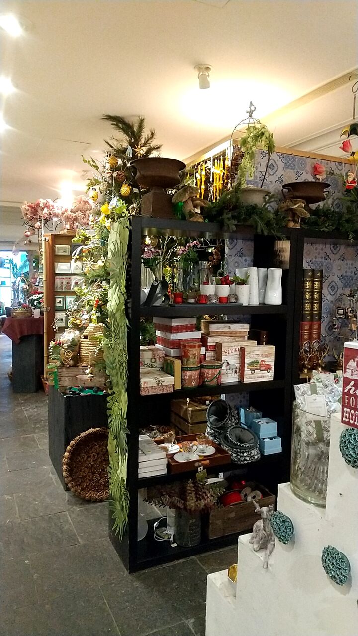 一足早く年のクリスマス クリスマスオーナメントをもとめて 六本木ゴトウフローリストへ 虎ノ門虎之助のベランダ ラボラトリー Ft メダカ