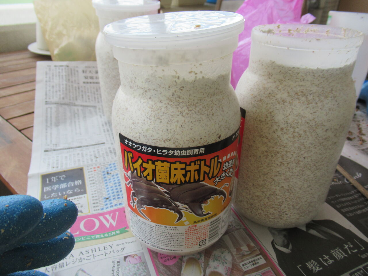 489円 新品 送料無料 菌糸ビン交換時の菌床の掻き出しや クワカブ幼虫の取り扱いに クワカブ幼虫スプーン 小 489円 新品 送料無料 菌糸ビン交換時の菌床の掻き出しや クワカブ幼虫の取り扱いに クワカブ幼虫スプーン 小