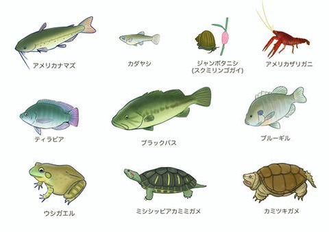 9d44bb15b3921778e81952c9e14ba931_t