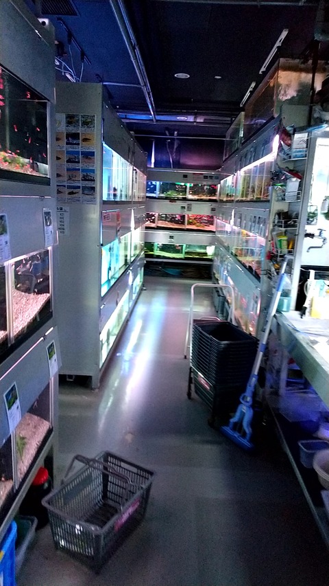 20200316_174102830