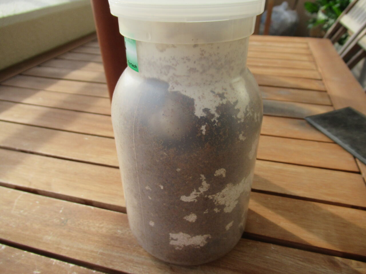 活性が上がってきたのでオオクワガタの菌糸ビン交換 虎ノ門虎之助のベランダ ラボラトリー Ft メダカ