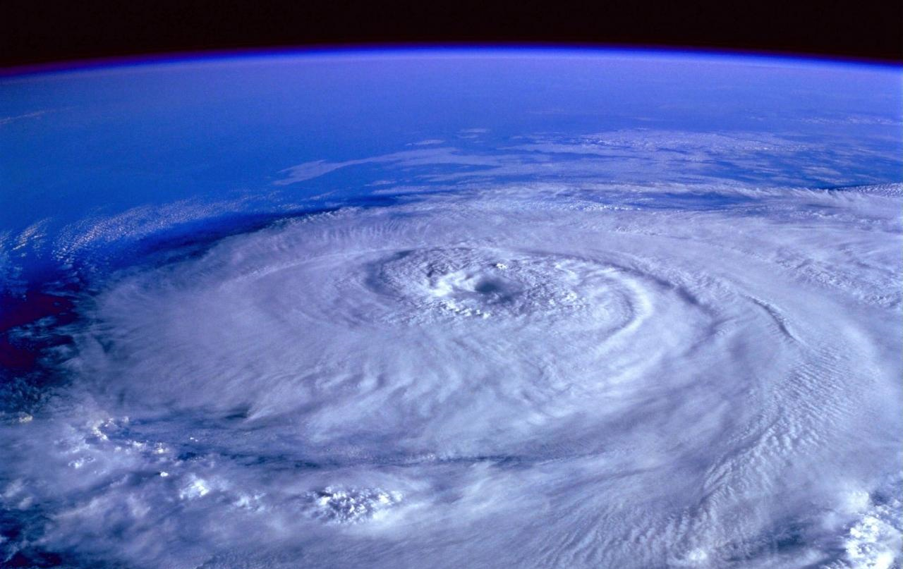 台風上陸直撃 屋外メダカの台風対策まとめ 暴風域だけじゃない 虎ノ門虎之助のベランダ ラボラトリー Ft メダカ 台風上陸直撃 屋外メダカの台風対策まとめ 暴風域だけじゃない 虎ノ門虎之助のベランダ ラボラトリー Ft メダカ