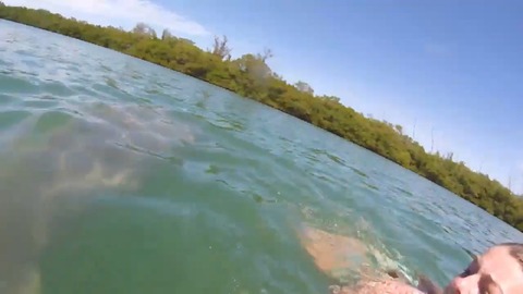 サメじゃなくマナティだった０２