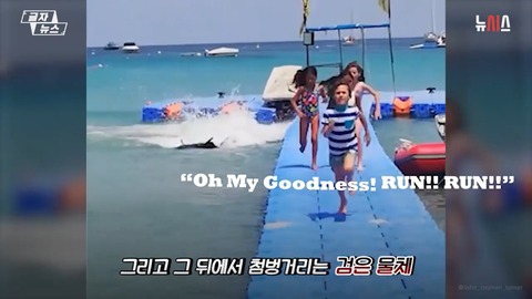 マルタでマグロ０１