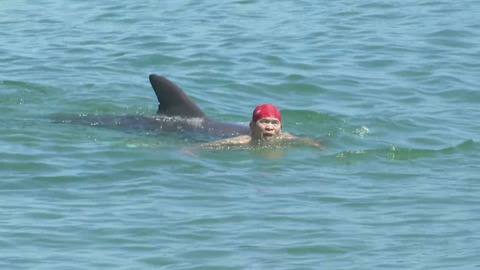 水晶浜海水浴場イルカが人を襲う