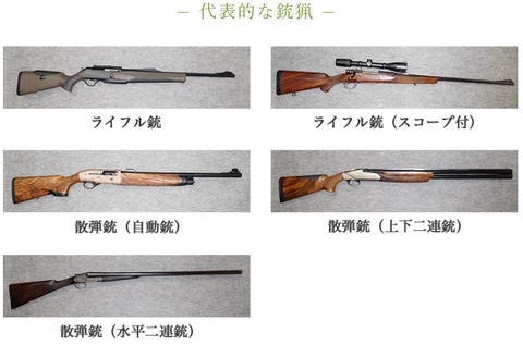 京都猟銃発砲事件（猟銃の種類）