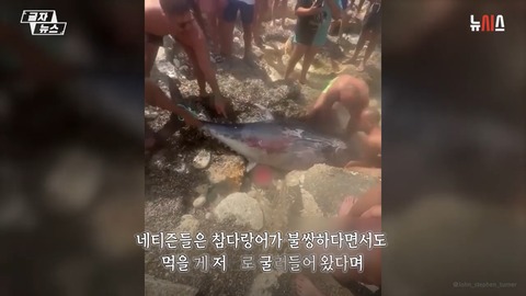 マルタでマグロ０２