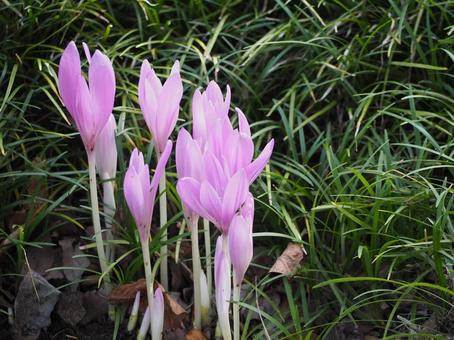 6e4704ed7daebed9f68ec866d561c2e5_t