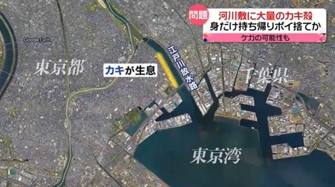 江戸川放水路_