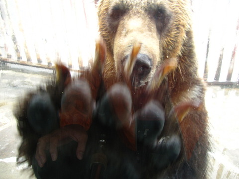 7d8d627438283df9d2d6c25abad00d4f_l