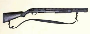 宇都宮・猟銃殺傷事件(高橋卓爾・死亡)