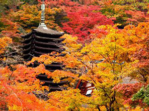 談山神社