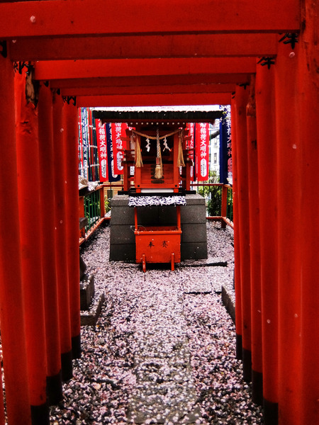 DSCF1545