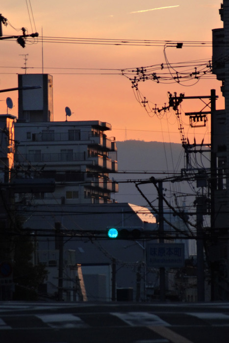 DSC08386