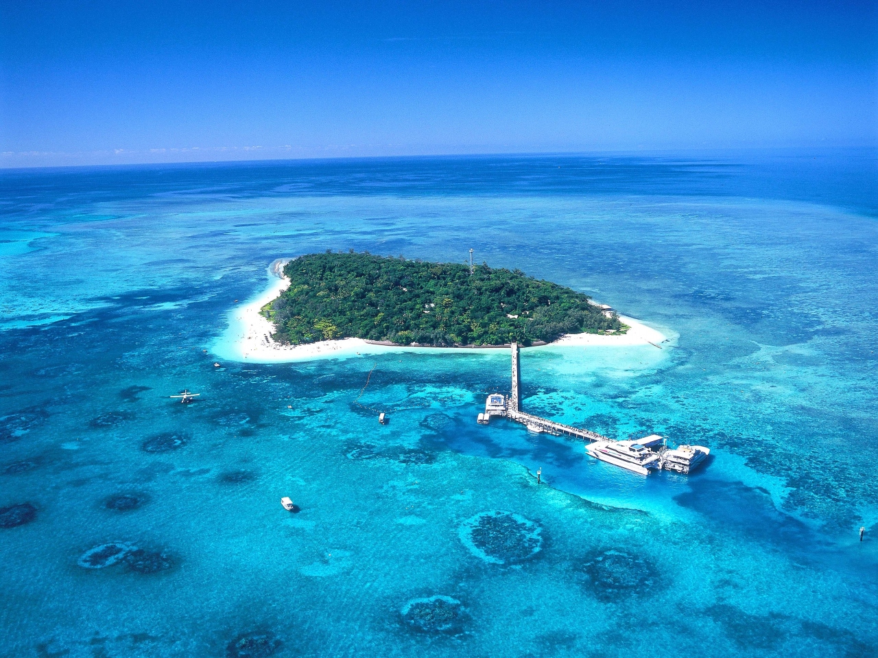世界最大の珊瑚礁 ２日目グレートバリアリーフ やっぱ軽くなりたい