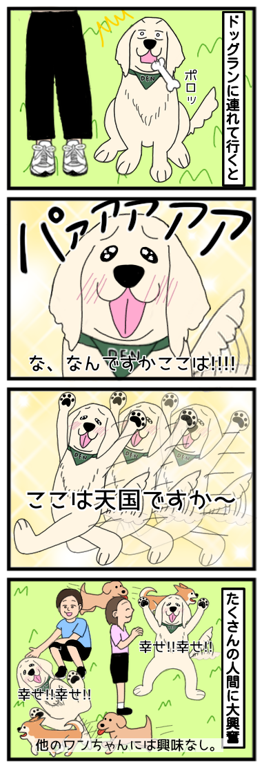 ☆人間大好きな犬2☆