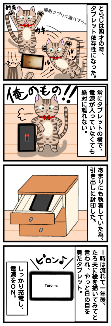☆タブレット依存症の猫1☆