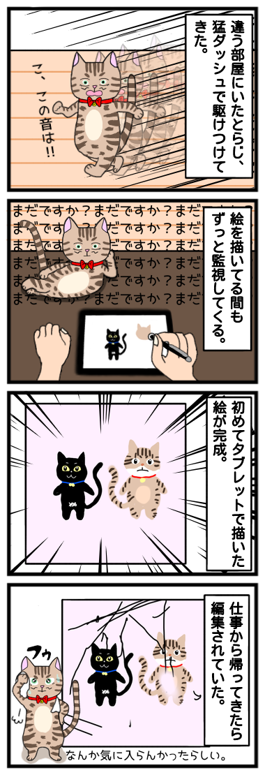 ☆タブレット依存症の猫2☆
