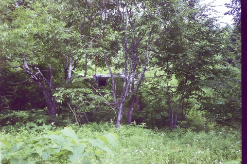 IMAG0005
