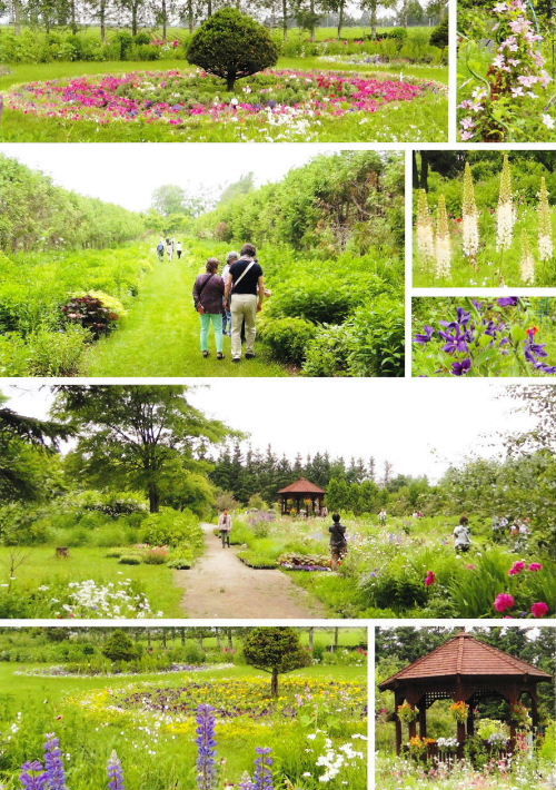 北海道ガーデン街道 紫竹ガーデン 六花の森 D Toragorou88の生活