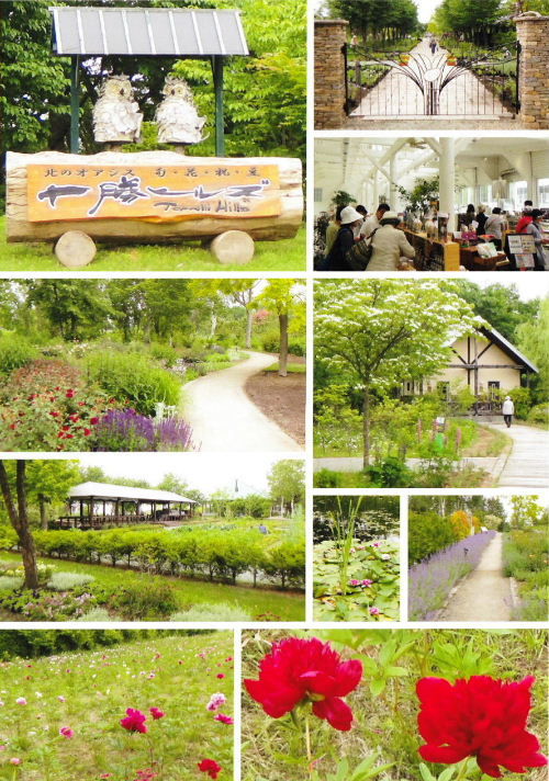 北海道ガーデン街道 真鍋庭園 十勝ヒルズ 十勝千年の森 E Toragorouの生活 北海道ガーデン街道 真鍋庭園 十勝ヒルズ 十勝千年の森 E Toragorouの生活