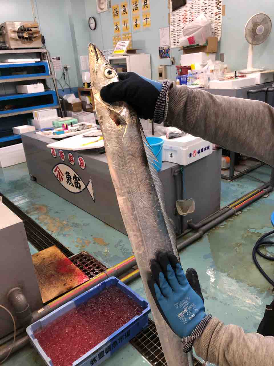 年末年始だもの 愛知 豊橋 地魚居酒屋 寅八店主 鈴木はつあきの寅八ブログ