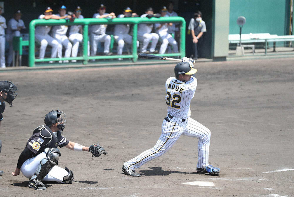 阪神ドラ2・井上 あと少しでサヨナラ弾…ヒーロー逃すも「スイングも打球の上がり方も悪くなかった」 とらほー速報