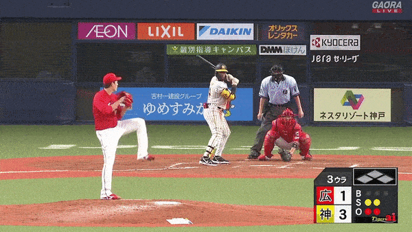 ロハス