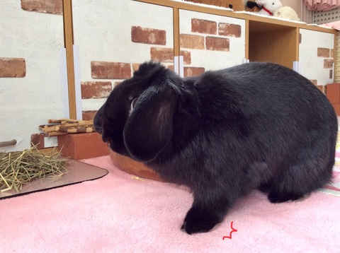 7A11D900-9A13-44C2-9659-4A73598C8506