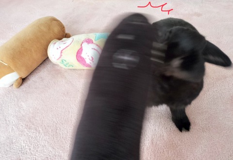 653A8455-870A-4242-8D26-5440DEABCD4C