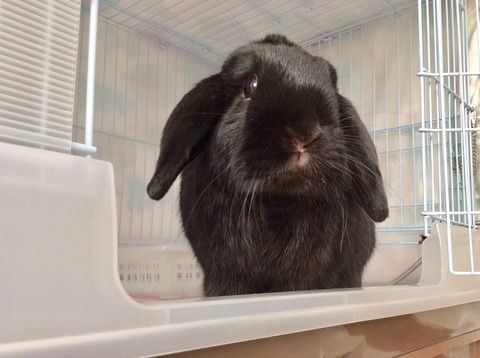 56A68A65-EC48-478A-B072-CF8F71B9C3C3