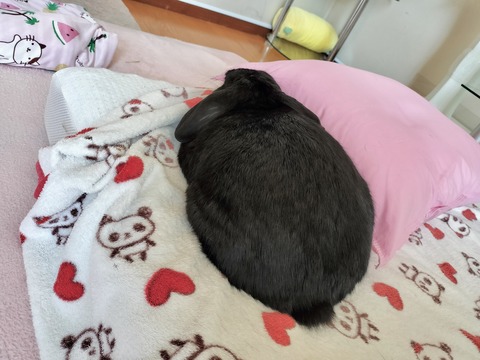 9B6C7D30-9A0D-4CA6-9B08-A0580CFB3F88