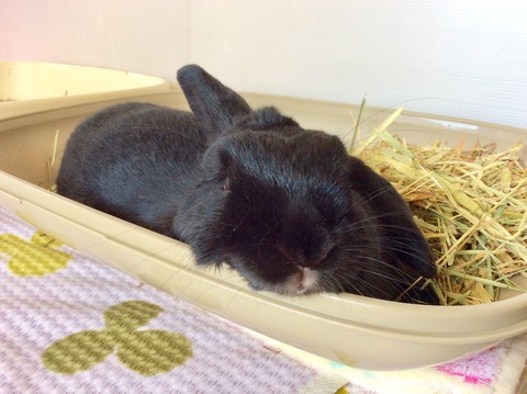 3E1B42C9-2B7B-4241-ACF6-D62F331DFBCE