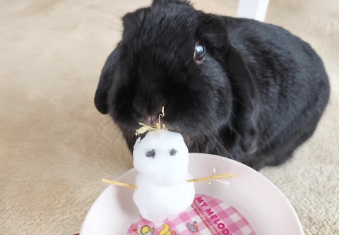 F32FA061-00C8-41BD-9618-E92AC153E4FA