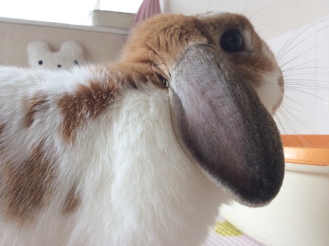 CA45AC4E-EFF4-4268-A494-008B04C47324