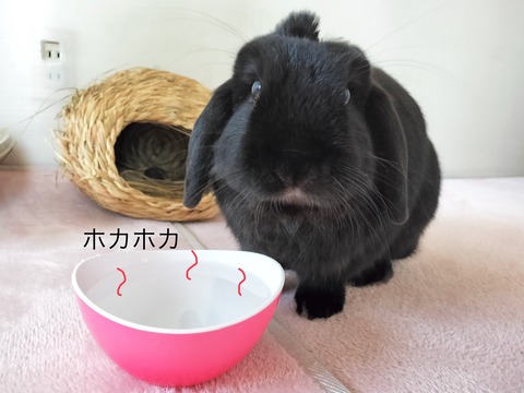 43B3A6B2-A126-47A4-AA9E-93C67A0B765A