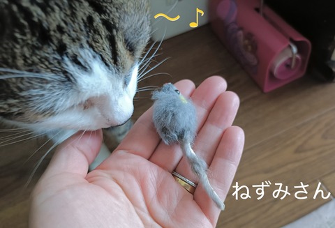 A68B3523-35F9-4DBA-A800-3567C7BB7861