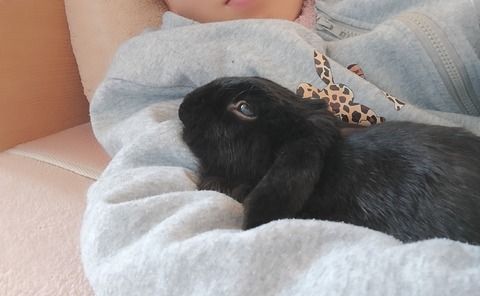 B5602226-8382-4DCB-9BD8-0C8F2C475D89