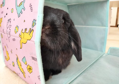 67717440-1AED-4CD1-8127-2441F1BACE4E