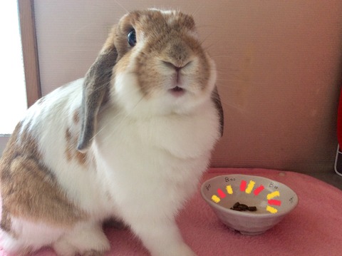 823D264C-2D84-476C-BF9B-8DAEDF6037FB