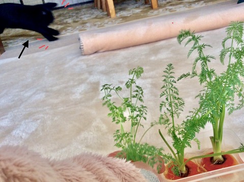 83CCA835-0161-48E3-B557-9C578C967AC7