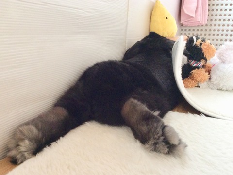 658D04CF-5EA3-430C-804A-367EAF710C67