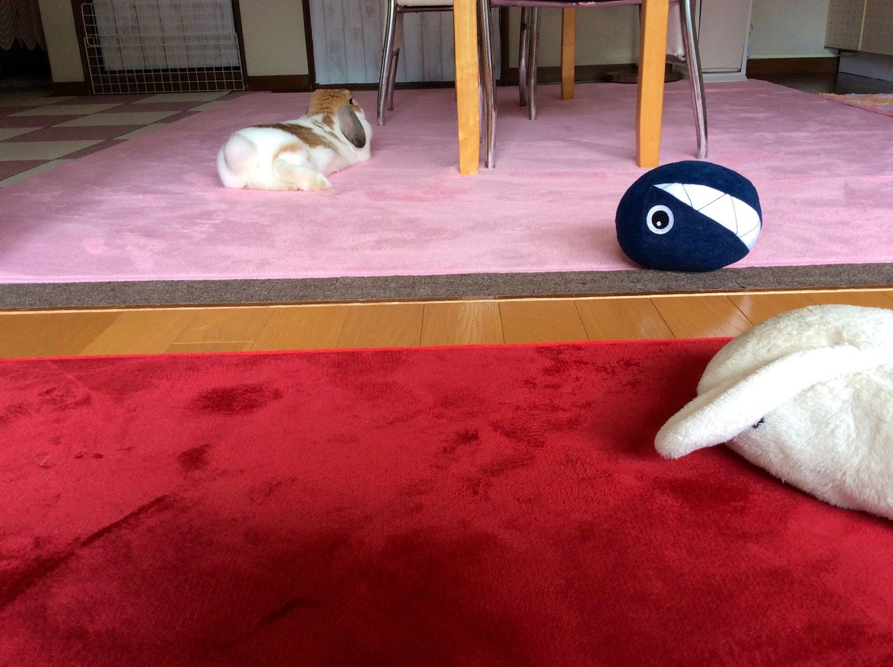 根に持つタイプ ぶ〜に〜の暮らし