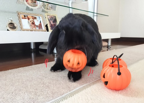 84F77ED6-B968-48F7-A932-F5152124B47F