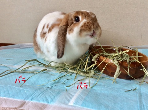 3C121D42-E235-463A-9A98-7605021C4E3E