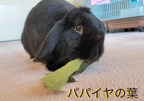 AA47CF75-30D6-42D8-A37C-83FEA30DC0E2