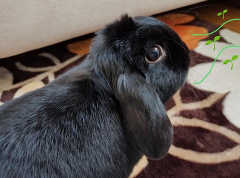 1579004C-ED02-41C4-B336-8DD1DB7476DA